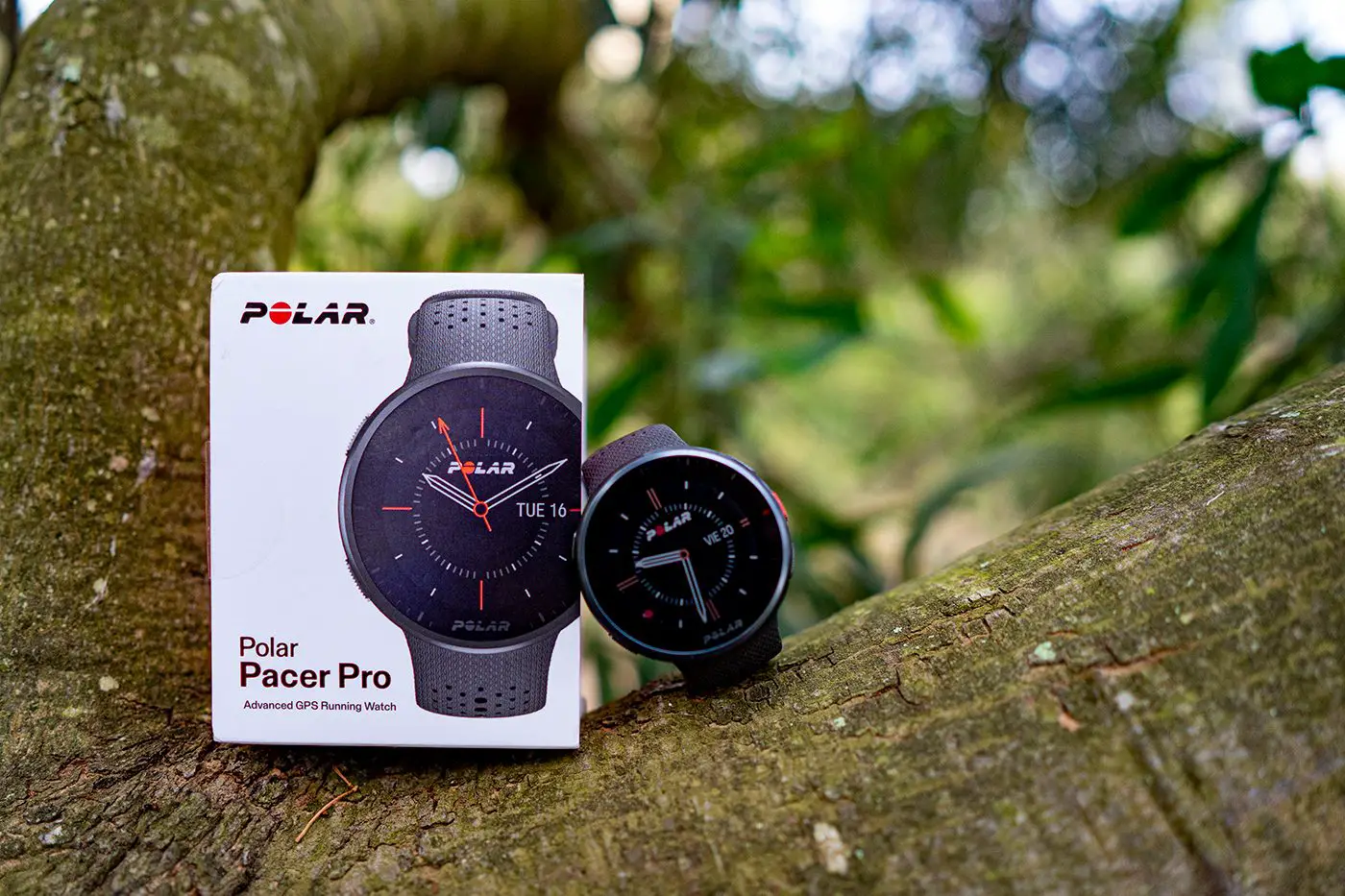 Часы polar pro. Пульсометр Polar Pacer. Polar Pacer Pro Carbon Gray. Polar Pacer триатлон. Polar Pacer Pro Snow White.